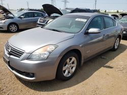 Salvage cars for sale at Elgin, IL auction: 2009 Nissan Altima Hybrid