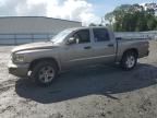 2010 Dodge Dakota SXT