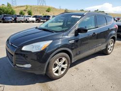 Salvage cars for sale at Littleton, CO auction: 2016 Ford Escape SE