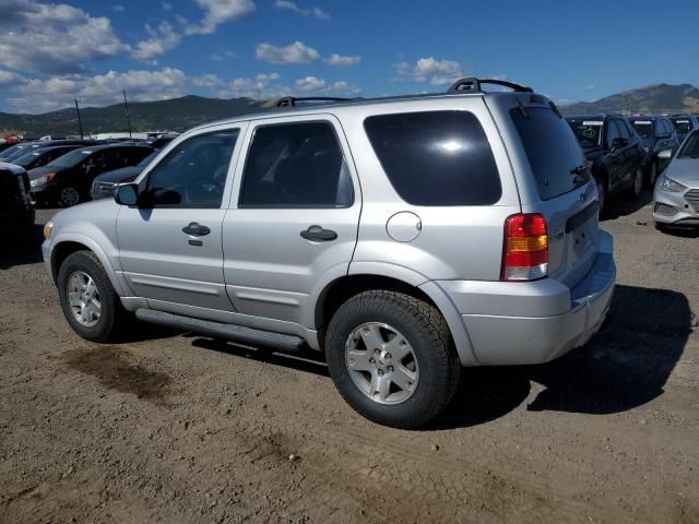 2007 Ford Escape XLT