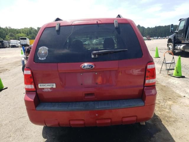 2010 Ford Escape XLT