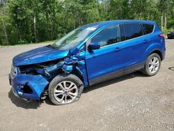 Salvage cars for sale at Cookstown, ON auction: 2017 Ford Escape SE