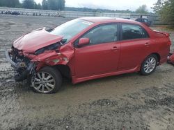 Salvage cars for sale at Arlington, WA auction: 2010 Toyota Corolla Base