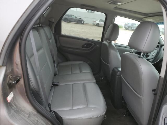 2006 Ford Escape XLT