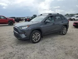 Salvage cars for sale from Copart Houston, TX: 2021 Toyota Rav4 XLE Premium