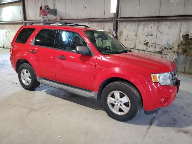 2009 Ford Escape XLT