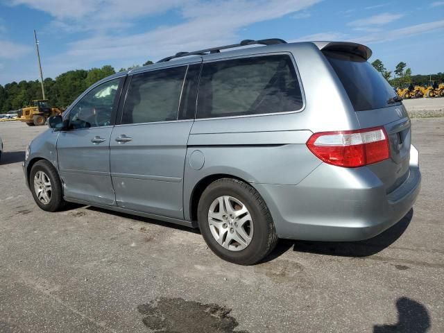 2005 Honda Odyssey EXL