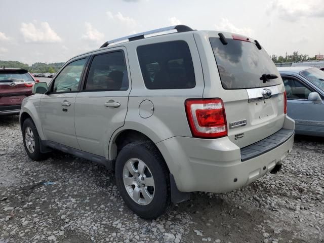 2009 Ford Escape Limited