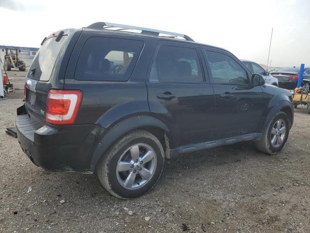 2010 Ford Escape Limited