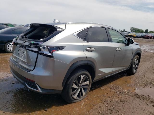 2020 Lexus NX 300H