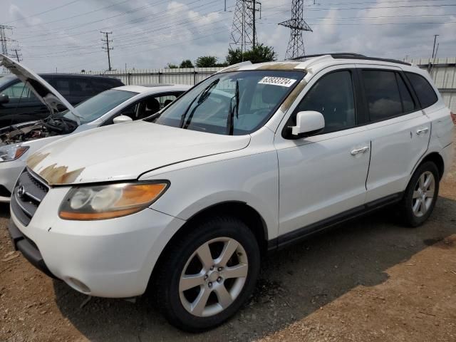 2009 Hyundai Santa FE SE