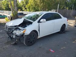 Salvage cars for sale at Portland, OR auction: 2011 Toyota Corolla Base