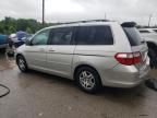 2005 Honda Odyssey EXL