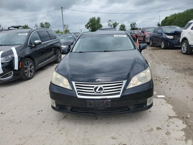 2010 Lexus ES 350