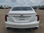 2021 Cadillac CT5 Premium Luxury