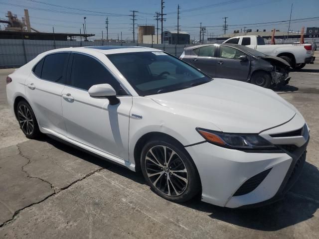 2019 Toyota Camry Hybrid