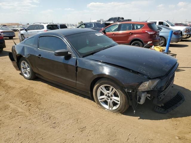 2013 Ford Mustang