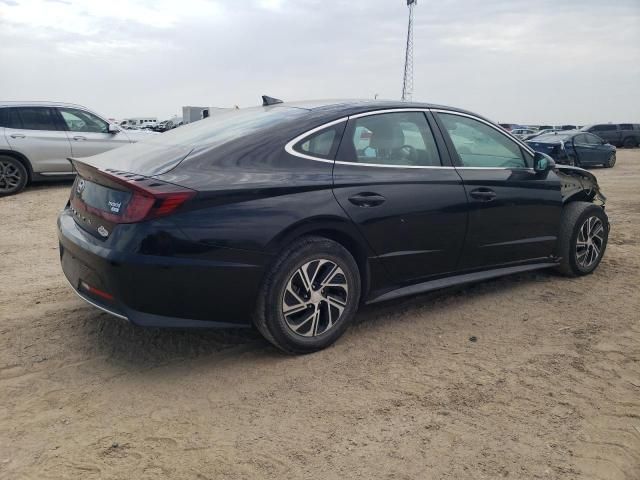 2021 Hyundai Sonata Hybrid