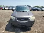 2005 Ford Escape XLT