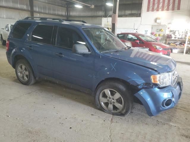 2010 Ford Escape XLT