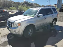 Carros salvage a la venta en subasta: 2010 Ford Escape Limited