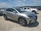 2020 Lexus NX 300H Luxury