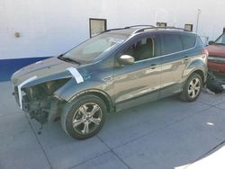 Salvage cars for sale at Farr West, UT auction: 2016 Ford Escape SE