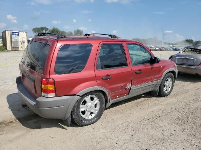 2001 Ford Escape XLT