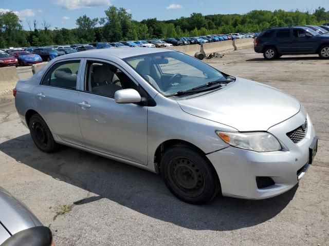 2010 Toyota Corolla Base