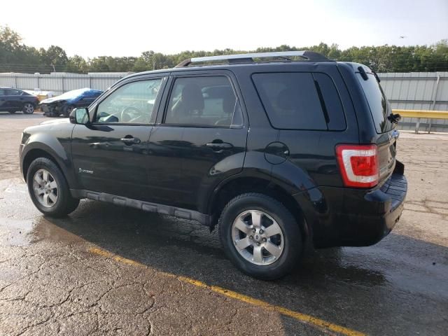 2009 Ford Escape Hybrid