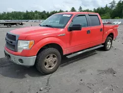 Salvage trucks for sale at Windham, ME auction: 2014 Ford F150 Supercrew