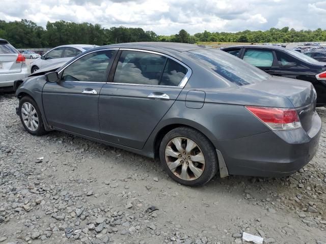 2008 Honda Accord EXL