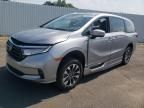 2022 Honda Odyssey EXL