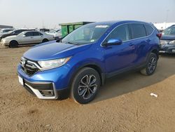 Salvage cars for sale at Brighton, CO auction: 2021 Honda CR-V EX