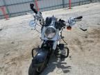 2000 Harley-Davidson Flstf