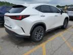 2024 Lexus NX 350H Base