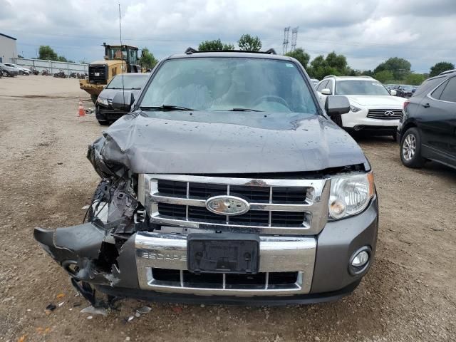 2010 Ford Escape Limited