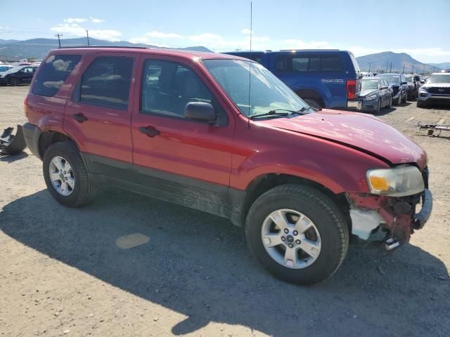 2005 Ford Escape XLT