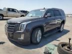 2015 Cadillac Escalade Platinum