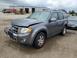 Ford Vehiculos salvage en venta: 2010 Ford Escape Limited