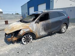 Salvage cars for sale at Elmsdale, NS auction: 2020 KIA Sorento S