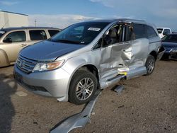 Salvage cars for sale at Tucson, AZ auction: 2011 Honda Odyssey EX