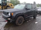 2018 Jeep Renegade Trailhawk