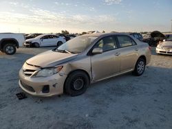 Salvage cars for sale at Antelope, CA auction: 2011 Toyota Corolla Base