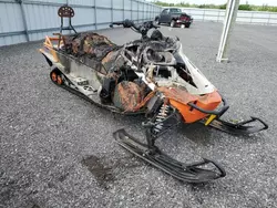 Salvage Motorcycles for parts for sale at auction: 2014 Arctic Cat Bearcat