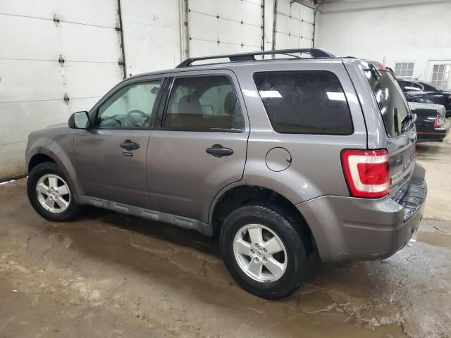 2009 Ford Escape XLT