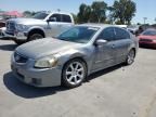 2007 Nissan Maxima SE