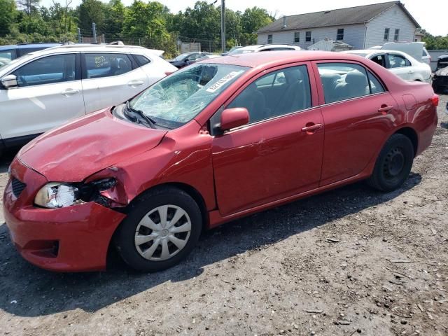 2009 Toyota Corolla Base