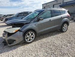 Carros con título limpio a la venta en subasta: 2013 Ford Escape SE