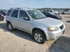 2006 Ford Escape HEV